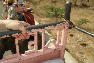 Jaipur: Tour di un giorno del Forte di Amber, del Palazzo della Città e dell'Hawa Mahal