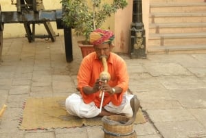 Jaipur: Tour di un giorno del Forte di Amber, del Palazzo della Città e dell'Hawa Mahal