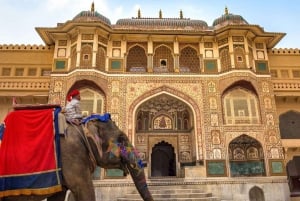 Jaipur: Privat omvisning i Amber Fort, bypalasset og Hawa Mahal