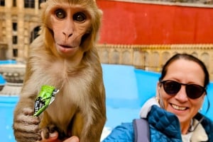 Jaipur: Amber Fort Guided Tour mit Skip-the-Line Tickets