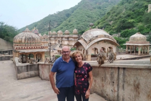 Jaipur: Amber Fort, Hawa mahal, stadspalatset + fullständig stadsrundtur