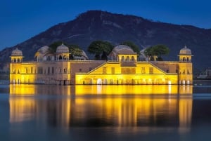Jaipur: Amber Fort, Stepwell & Jal Mahal med afhentning