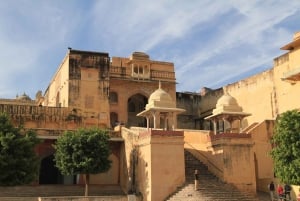 Jaipur: Amber Fort, Panna Meena and Elephant Village Tour