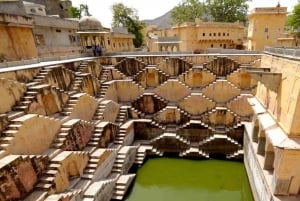 Jaipur: Amber Fort, Panna Meena and Elephant Village Tour