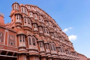 Jaipur: Amber Fort, Panna Meena and Elephant Village Tour