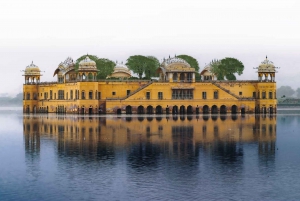 Jaipur: Amber Fort, Jal Mahal & Stepwell Private Tour