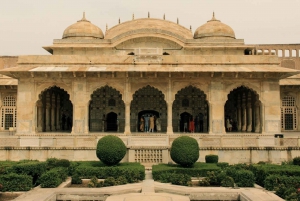 Jaipur: Amber Fort, Jal Mahal & Stepwell privétour