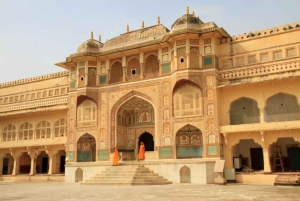 Jaipur : Visite guidée du fort d'Amber, du puits d'escalier et du temple de l'amour aveugle