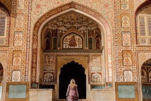 Jaipur : Visite guidée du fort d'Amber, du puits d'escalier et du temple de l'amour aveugle