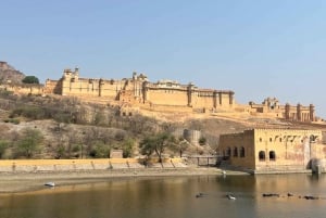 Jaipur: Amber Fort privat tur med skip køen indgang