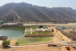 Jaipur: Amber Fort privat tur med skip køen indgang