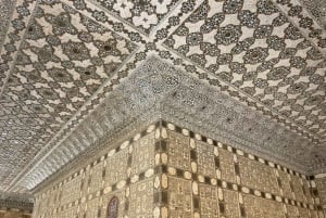 Jaipur: Amber Fort privat tur med skip køen indgang