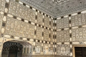 Jaipur: Amber Fort privat tur med skip køen indgang