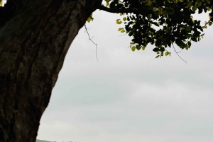 Jaipur: Guidet cykeltur til Ambers kulturarv med morgenmad