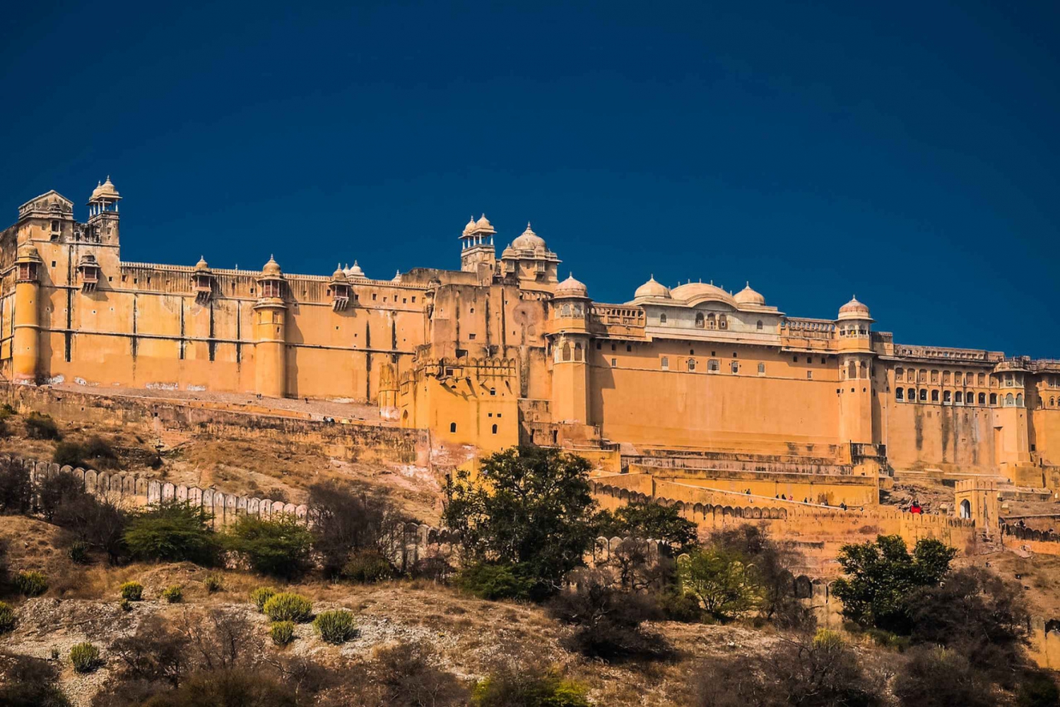 Jaipur: Amer Fort Fast-Track Entry & Optional Guide/Transfer