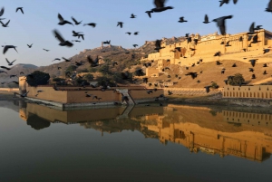 Jaipur: Skip-the-Line Amber fort Admission