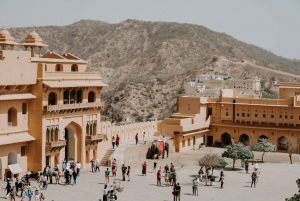 Jaipur: Skip-the-Line Amber fort Admission