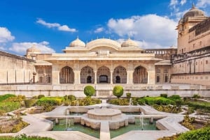 Jaipur: Amer Fort, Jal Mahal & Hawa Mahal Half-Day Tour