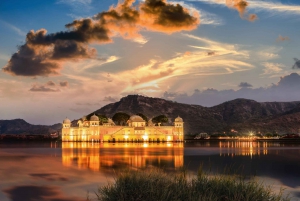 Jaipur Amer Fort, Jal Mahal & Stepwell Private Half-Day Tour