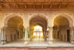Jaipur Amer Fort, Jal Mahal & Stepwell Private Half-Day Tour