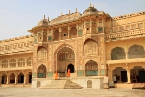 Jaipur Amer Fort, Jal Mahal & Stepwell Private Half-Day Tour