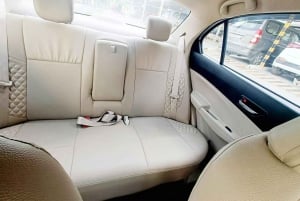 Автомобильная экскурсия по Джайпуру с англоязычным местным водителем!