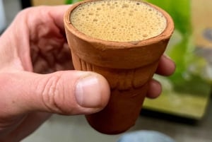 Автомобильная экскурсия по Джайпуру с англоязычным местным водителем!