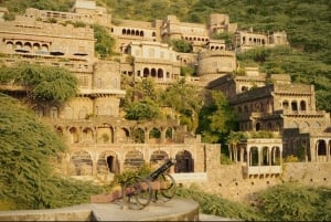 Jaipur: Chand Baori & Bhangarh Fort tour - All Inclusive