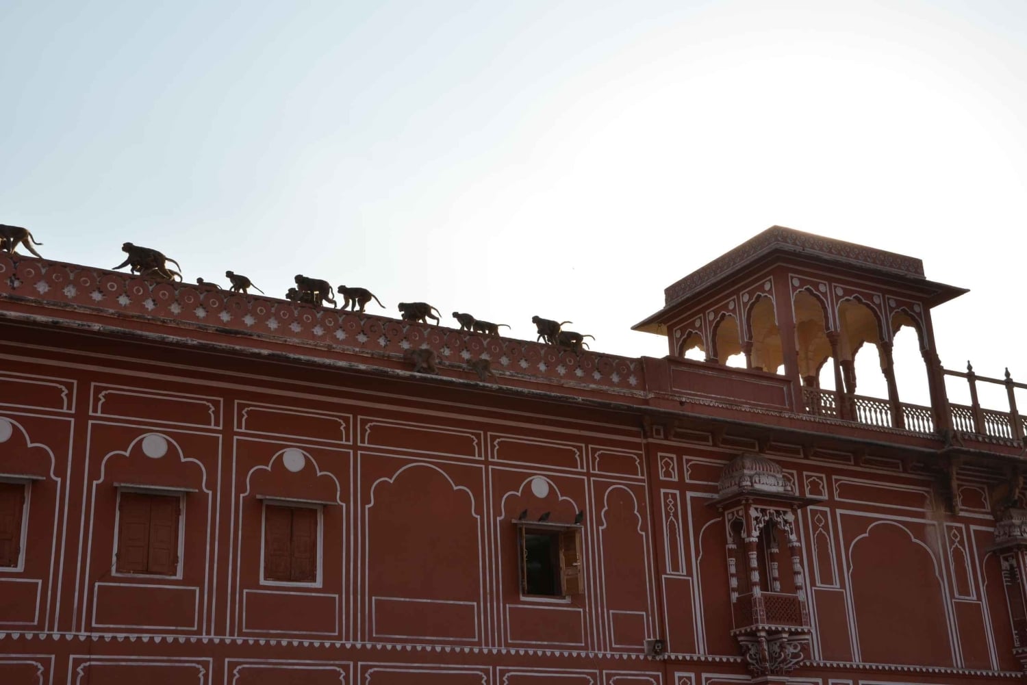Jaipur : visite des temps forts de la ville avec transfert