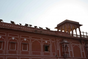 Jaipur: Stadtpalast, Hawa Mahal, und Jantar Mantar Tour