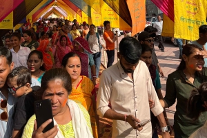 Jaipur: City Pass with Private Car and Guide