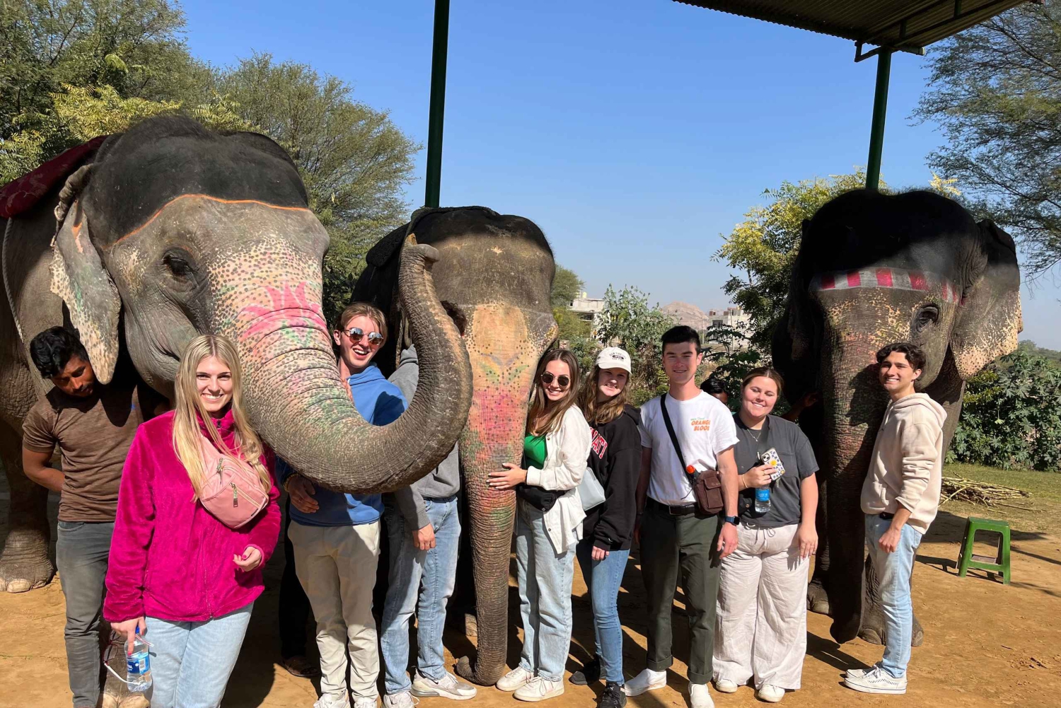 Jaipur: Kaupunkikierros ja elefanttien kanssa