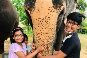 Stadstur i Jaipur med elefantinteraktion