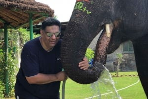 Tour de la ciudad de Jaipur con interacción con elefantes