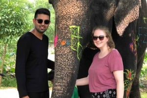 Stadstur i Jaipur med elefantinteraktion