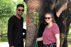 Visite de la ville de Jaipur avec interaction avec les éléphants