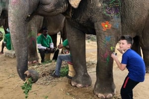 Jaipur byrundtur med elefantinteraktion