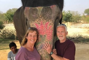 Tour de la ciudad de Jaipur con interacción con elefantes