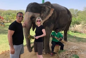 Bytur i Jaipur med elefantinteraksjon