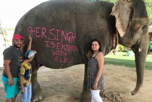 City tour em Jaipur com interação com elefantes