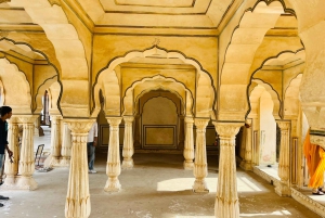 City tour em Jaipur com interação com elefantes