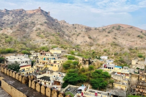 Tour della città di Jaipur con interazione con gli elefanti