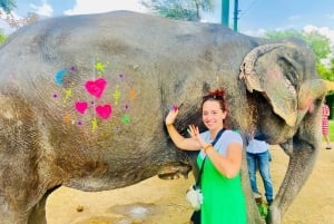 Tour della città di Jaipur con interazione con gli elefanti
