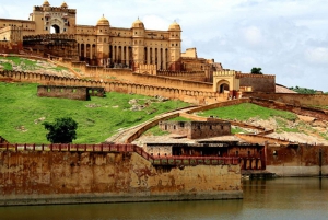 Jaipur: Private Guided City Tour with Hotel Pickup