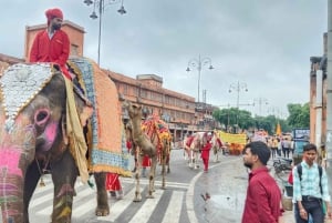Jaipur : Visite de l'artisanat et du shopping - des ateliers aux marchés
