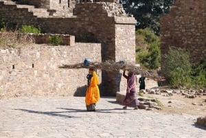 Jaipur: Deepest step well in India & Haunted Fort Day Trip