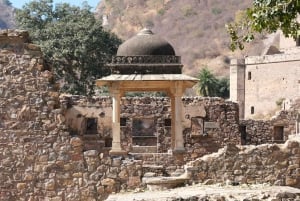 Jaipur: Deepest step well in India & Haunted Fort Day Trip