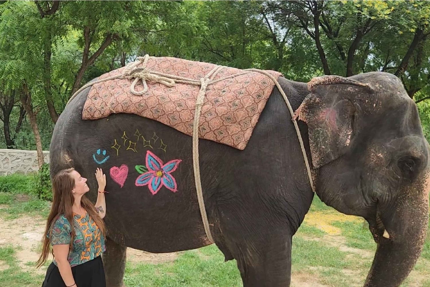 Jaipur: Mød elefanterne, og oplev de kongelige seværdigheder i bil