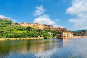 Jaipur: Elefantmöte och kunglig sightseeing med bil