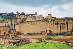 Jaipur: Elefantmöte och kunglig sightseeing med bil